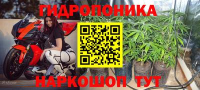 индика Кулебаки