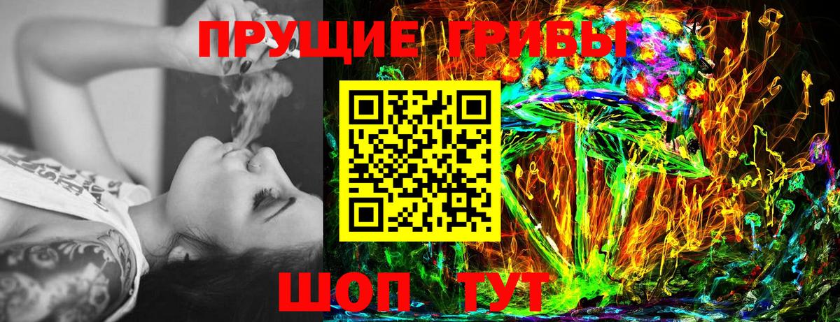 Псилоцибиновые грибы Cubensis Уссурийск